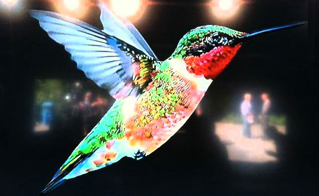 Íme a Google Kolibri (Hummingbird)